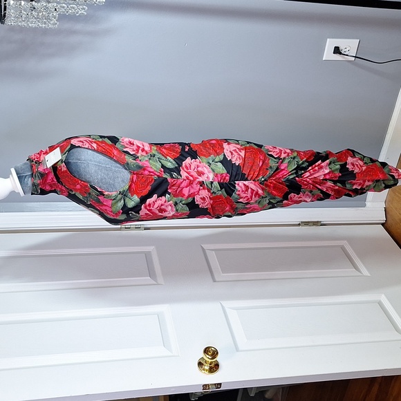 Cupio Blush Sleeveless Black with Red Roses Bodycon Dress - Picture 3 of 13